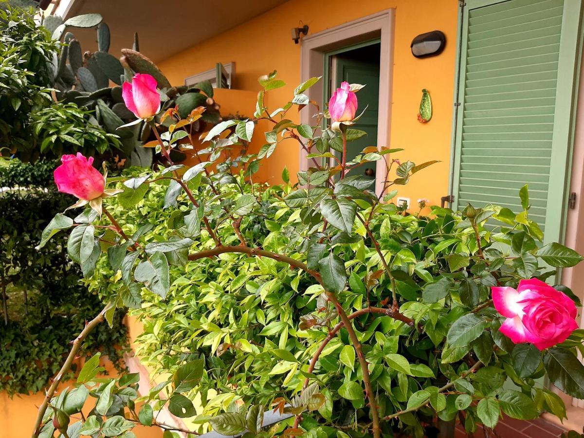 Bed and Breakfast Casa Marta Massa  Exteriér fotografie